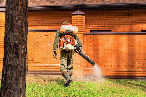 Trusted Rodent Control service in Wymore, NE - Nex Pest Control